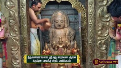 Photo of Thiruvannamalai | Sri Boodha Narayana Temple | Krishnar jayanthi Sirappu Abishekam | Thiruvaiyaru