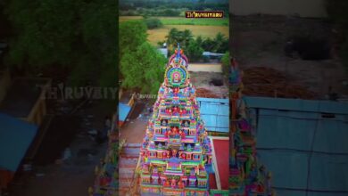 Photo of நேரலை – திருப்பறியலூர் வீரட்டானம் ( பரசலூர்) ஸ்ரீ வீரட்டேஸ்வர சுவாமி ஆலய மகா கும்பாபிஷேக விழா