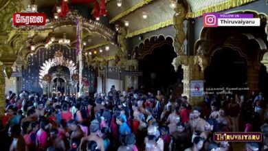 Photo of 🔴 Live – Nallur Sri Kandaswamy Devasthanam 20th Day Morning Festival -2024 | Thiruvaiyaru