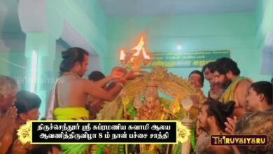 Photo of Pachai Saathi Thiruchendur Sri Subramaniya Swamy Temple Aavani Thiruvizha