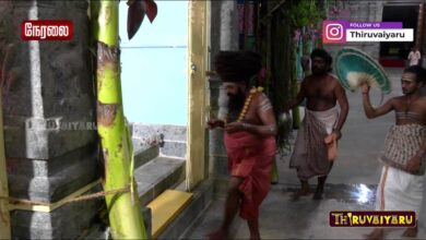 Photo of 🔴 Live – AchalPuram Sri Sivaloga Thiyagaraja Swamy Temple Maha Kumbabishegam – Kalam 3