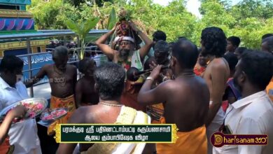 Photo of Paramakudi Karupannasami Kumbabisheka vizha Shorts TYR