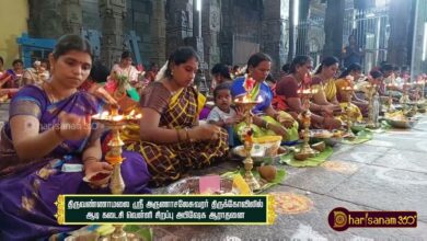 Photo of Thiruvannamalai | Sri Arunachaleswarar Temple | Aadi Kadaisi Velli | Thiruvaiyaru