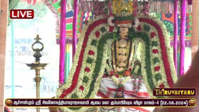 Photo of 🔴 Live – AchalPuram Sri Sivaloga Thiyagaraja Swamy Temple Maha Kumbabishegam – Kalam 4