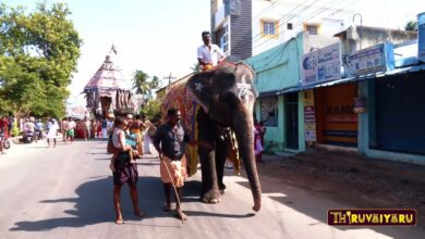 Photo of Thiruvaiyaru Sri Aiyarappar Aalaya Aadipoora Vizha Maha urchavam  Day-9 |2024 | Thiruvaiyaru