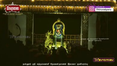 Photo of Nallur Sri Kandhaswamy Devasthanam Santhanagopalar Festival –  2024 | Thiruvaiyaru