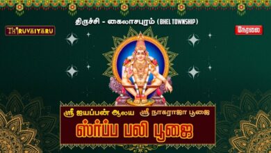 Photo of 🔴 Live – Trichy Sri Ayyappan Temple Sarpa Bali Pooja | திருச்சி ஸ்ரீ ஐயப்பன் ஆலய ஸர்ப்ப பலி பூஜை