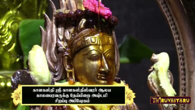 Photo of Theipirai Ashtami Sirappu Abishekam Kalakasthi Kalabairavar Temple |Thiruvaiyaru