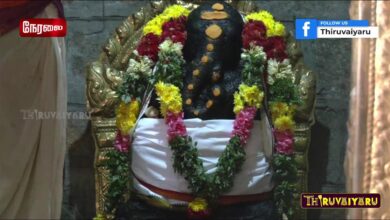 Photo of 🔴 Live – Thiruvaiyaru Sri Aiyarappar Aalaya Balasthabana Vizha | திருவையாறு பாலஸ்தாபன விழா