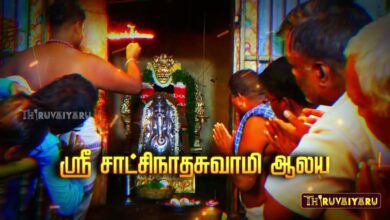 Photo of Thirupurambiyam Sri Satchinadhaswamy Temple PralayamKaathaVinayagar Thenabishekam Promo|Thiruvaiyaru