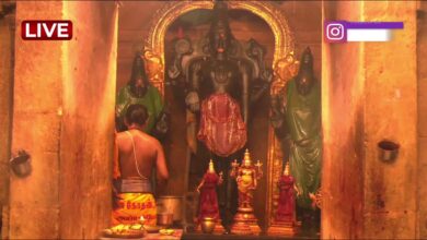 Photo of 🔴 Live – Thanjavur Sri Prasanna Venkadesa Perumal Temple Thirumanjanam  | Thiruvaiyaru