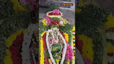 Photo of நேரலை திருப்புறம்பியம் விநாயகர் சதுர்த்தி விழா ஶ்ரீ பிரளயம் காத்த விநாயகருக்கு தேனாபிஷேகம்