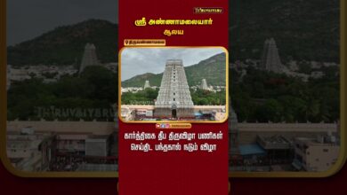 Photo of திருவண்ணாமலை ஸ்ரீ அண்ணாமலையார் கோவில் கார்த்திகை தீப திருவிழா பணிகள் செய்திட பந்தகால் நடும் விழா