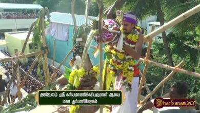 Photo of ஸ்ரீ கரியமாணிக்க பெருமாள் ஆலய மகா கும்பாபிஷேகம் அலிவலம் | Alivalam Maha Kumbabishekam