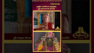 Photo of புத்திர பாக்கியம் அருளும் ஶ்ரீ கமலவல்லிதாயார் | தஞ்சாவூர் – வல்லம் ஶ்ரீ மாதவயோகநரசிம்மபெருமாள் ஆலயம்