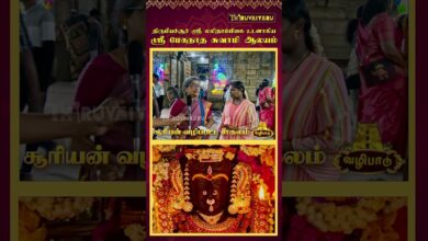 Photo of திருவாரூர் – திருமீயச்சூர் ஸ்ரீ மேகநாத சுவாமி  ஆலயம் | Sri Meganatha Swamy Temple | Thiruvaiyaru