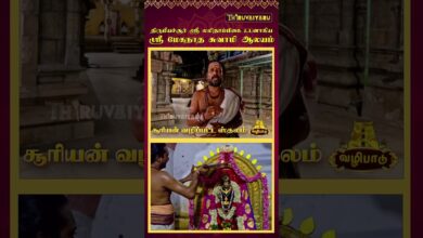 Photo of திருவாரூர் – திருமீயச்சூர் ஸ்ரீ மேகநாத சுவாமி  ஆலயம் | Sri Meganatha Swamy Temple | Thiruvaiyaru