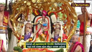 Photo of திருப்பதி ஸ்ரீ ஏழுமலையான் கோவில் பிரம்மோற்சவ 4ம் நாள் காலை கற்பக விருட்ச வாகன புறப்பாடு | திருவையாறு