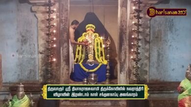 Photo of திருவாரூர் ஸ்ரீ தியாகராஜசுவாமி திருக்கோயில் நவராத்திரி 2ஆம் நாள் சந்தனகாப்பு அலங்காரம் | திருவையாறு