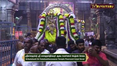 Photo of Srikalahasti Sri Kalahastheeswarar Temple PournamiUnjalSeva | ஸ்ரீ காளஹஸ்தீஸ்வரர் பௌர்ணமி ஊஞ்சல்சேவை