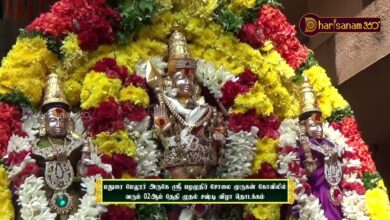 Photo of மதுரை மேலூர் அருகே ஸ்ரீ பழமுதிர் சோலை முருகன் கோவிலில் வரும் 02ஆம் தேதி முதல் சஷ்டி விழா தொடக்கம்