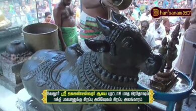 Photo of வேலூர் ஸ்ரீ ஜலகண்டீஸ்வரர் ஆலய புரட்டாசி மாத பிரதோஷம் நந்தி பகவானுக்கு சிறப்பு அபிஷேகம் | திருவையாறு