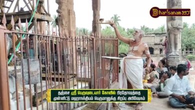 Photo of தஞ்சை ஸ்ரீ பெருவுடையார் கோவில் பிரதோஷத்தை முன்னிட்டு மஹாநந்தியம் பெருமானுக்கு சிறப்பு அபிஷேகம்