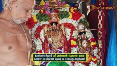 Photo of திருவெள்ளக்குளம் ஸ்ரீ அண்ணன் பெருமாள் ஆலய தேரோட்டம் பக்தர்கள் தேரை வடம் பிடித்து இழுத்தனர்