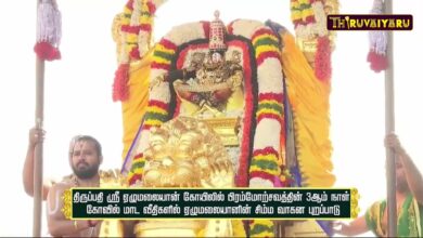 Photo of திருப்பதி ஸ்ரீ ஏழுமலையான் கோவிலில் பிரம்மோற்சவத்தில் 3-ஆம் நாள் சிம்ம வாகன புறப்பாடு