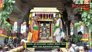 Photo of நெல்லை ஸ்ரீ நெல்லையப்பர் காந்திமதி அம்பாள் ஆலய ஐப்பசி திருக்கல்யாண திருவிழா | Nellaiyappar Temple