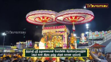 Photo of திருப்பதி ஸ்ரீ ஏழுமலையான் கோவிலில் பிரம்மோற்சவத்தில் 3-ஆம் நாள் இரவு முத்து பந்தல் வாகன புறப்பாடு