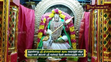 Photo of திருநள்ளாறு ஸ்ரீ தர்ப்பாரண்யேஸ்வரர் ஆலய நவராத்திரி 8ம் நாள் அம்பாள் ஸ்ரீசரஸ்வதி தேவி அலங்காரம்