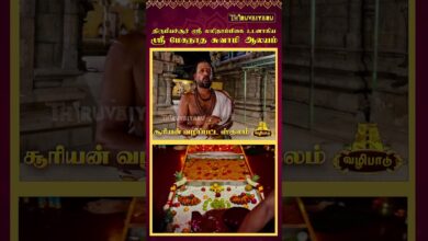 Photo of திருவாரூர் – திருமீயச்சூர் ஸ்ரீ மேகநாத சுவாமி  ஆலயம் | Sri Meganatha Swamy Temple | Thiruvaiyaru