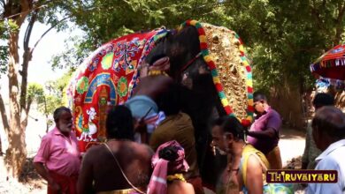 Photo of Theertha Sankiraham | Thiruvidaikazhi Sri Murugan Temple Kumbabishekam திருவிடைக்கழி ஸ்ரீ முருகன்