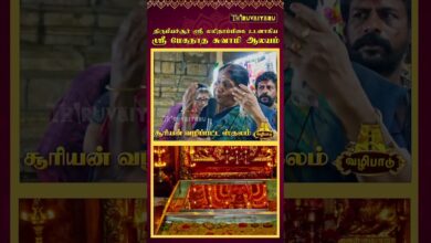 Photo of திருவாரூர் – திருமீயச்சூர் ஸ்ரீ மேகநாத சுவாமி  ஆலயம் | Sri Meganatha Swamy Temple | Thiruvaiyaru