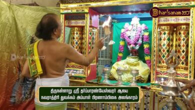 Photo of திருநள்ளார் ஸ்ரீதர்ப்பாரண்யேஸ்வரர் ஆலயத்தில் நவராத்திரி துவக்கமாக அம்பாள் பிரணாம்பிகை அலங்காரம்