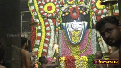 Photo of Thanjavur Sri Peruvudaiyar Temple Sathaya Vizha  | Moolavar Dheebarathanai | Thiruvaiyaru