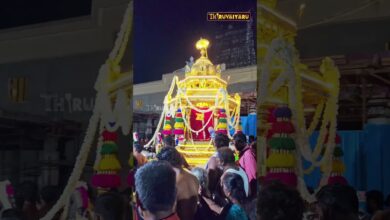 Photo of திருச்செந்தூர் ஸ்ரீ ஜெயந்திநாதர் – தங்க தேர் பவனி – கந்த சஷ்டி திருவிழா 2024 #திருவையாறு #muruga