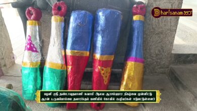 Photo of பழனி ஸ்ரீ தண்டாயுதபாணி சுவாமி கோயில் சூரன் உருவபொம்மை தயாரிக்கும் பணியில் ஊழியர்கள் ஈடுபட்டுள்ளனர்