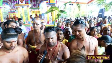 Photo of Ko Poojai -Ashva poojai – Neyveli Sri Natarajar Alaya Kumbabishegam – | Thiruvaiyaru