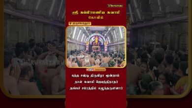 Photo of திருச்செந்தூர் ஸ்ரீ சுப்பிரமணிய சுவாமி கோவில் கந்த சஷ்டி திருவிழா மூன்றாம் நாள் தங்கச் சப்பரம்