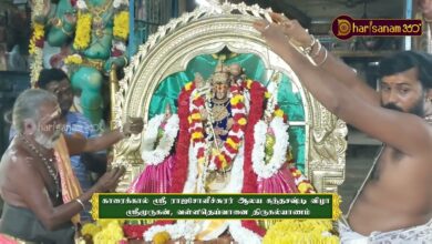 Photo of காரைக்கால் ஸ்ரீ ராஜசோளீச்சுரர் ஆலய கந்த சஷ்டி விழா திருகல்யாணம் | Kandha Sasti Vizha Thirukalyanam