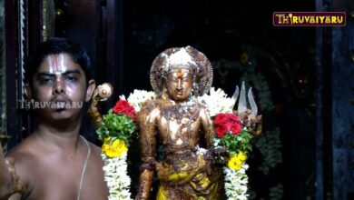 Photo of Karaikkal Sri Karaikkal Ammaiyar Temple Mangani Thiruvizha Sirappu Abishegam – Part-3