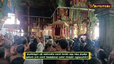 Photo of திருச்செந்தூர் ஸ்ரீ சுப்பிரமணிய சுவாமி கோவில் கந்த சஷ்டி திருவிழா மூன்றாம் நாள் தங்கச் சப்பரம்