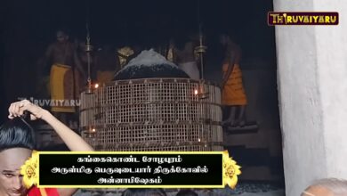 Photo of Gangaikonda Cholapuram Sri Peruvudaiyar Temple Annabisheka Vizha  || Thiruvaiyaru