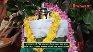 Photo of காரைக்கால் ஸ்ரீ சித்திவிநாயகர் ஆலய கேதாரி-கவுரி விரத வழிபாட்டில் பெண்கள் விரதமிருந்து சுவாமி தரிசனம்