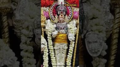 Photo of தஞ்சாவூர்-பூக்காரதெரு ஸ்ரீ சுப்பிரமணியசுவாமி ஆலய கந்த சஷ்டி விழா புறப்பாடு நாள்-1 #கந்தசஷ்டி #shorts