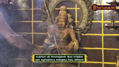 Photo of காஞ்சிபுரம் ஸ்ரீ அரசுகாத்தம்மன் ஆலய கார்த்திகை முதல் தேதியையொட்டி ஐயப்பனுக்கு சிறப்பு அபிஷேகம்