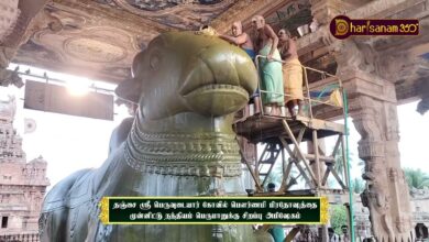 Photo of தஞ்சை ஸ்ரீ பெருவுடையார் கோவில் பெளர்ணமி பிரதோஷத்தை முன்னிட்டு நந்தியம் பெருமானுக்கு சிறப்பு அபிஷேகம்