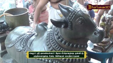 Photo of வேலூர் ஸ்ரீ ஜலகண்டீஸ்வரர் ஆலய பிரதோஷத்தை முன்னிட்டு நந்திபகவானுக்கு சிறப்பு அபிஷேகம் மகாதீபாராதனை